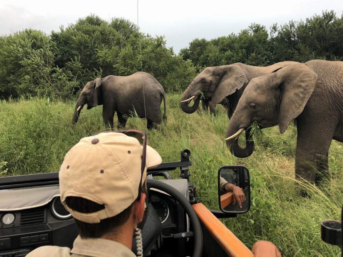 Tanzania photographic safari itinerary